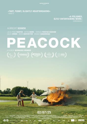 Peacock